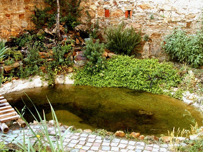 Il Laghetto del Centro di Entomologia - Piombino (LI)